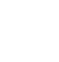 STG Industry